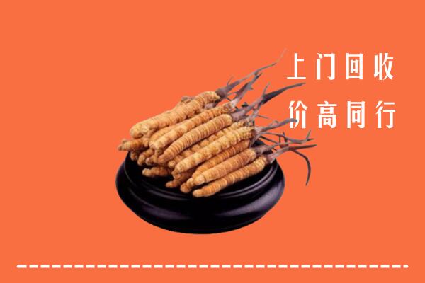 高价求购：吴忠市青铜峡市回收散虫草