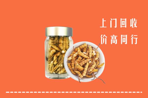 吴忠市青铜峡市回收冬虫夏草