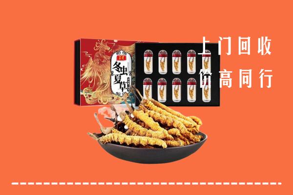 吴忠市青铜峡市回收虫草